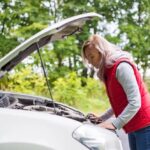 5 Tips to Prevent Earwigs from Invading Your Space in Salt Lake City