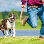 Juvenile Defense Attorney in Georgia: Expert Legal Representation for Youth
