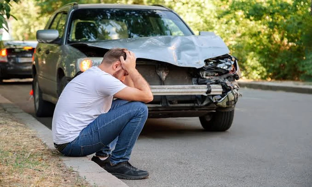 The Emotional Impact of Animal Attacks: Recovery beyond Physical Healing